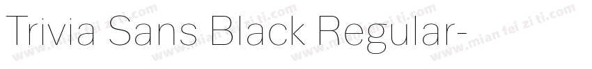 Trivia Sans Black Regular字体转换